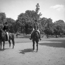 1967, London, Hide Park, horsewomen.