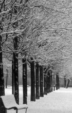 1975, Milan, park with snow.
