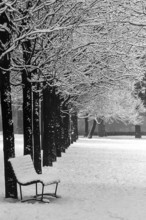 1975, Milan, park with snow.