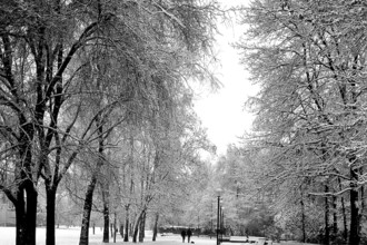 1975, Milan, park with snow.