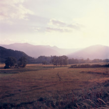 Nature, Italy, region of Abruzzo, 1975 Abruzzo Natural Park natural reserve.