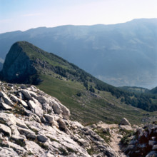 Nature, Italy, region of Abruzzo, 1975 Abruzzo Natural Park natural reserve.