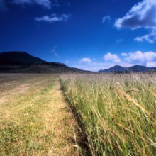 Nature, Italy, region of Abruzzo, 1975 Abruzzo Natural Park natural reserve.