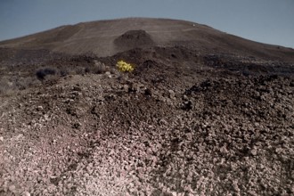 Nature, Italy, region of Campania, 1975 Vesuvius volcano.