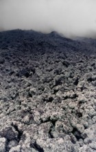 Nature, Italy, region of Campania, 1975 Vesuvius volcano.