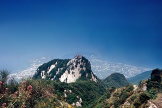 Nature, Italy, region of Campania, 1975 Ischia Monte Epomeo.
