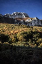 Nature, Italy, region of Basilicata, 1975  Alburni Mountains Regional Park.
