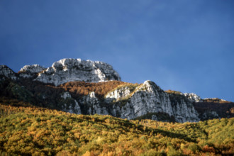 Nature, Italy, region of Basilicata, 1975  Alburni Mountains Regional Park.