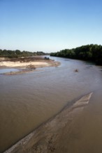 Nature, Italy, region of Basilicata-Calabria 1975 Mouth of the river Crati Regional Park.
