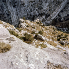 Nature, Italy, region of Puglia 1975 Vallone di Pulsano National Park of Gargano.