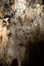 Nature, Italy, region of Puglia 1975 Grotte di Catellana (Castellana caves).