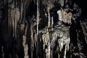 Nature, Italy, region of Puglia 1975 Grotte di Catellana (Castellana caves).