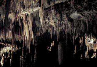 Nature, Italy, region of Puglia 1975 Grotte di Catellana (Castellana caves).