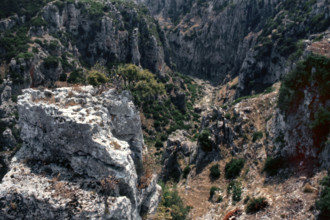 Nature, Italy, region of Puglia 1975 Gravina di Castellaneta.