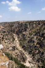 Nature, Italy, region of Puglia 1975 Gravina di Laterza.