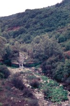 Nature, Italy, region of Puglia 1975 Valle del Celone (Celone Valley).