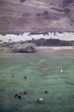 Nature, Italy, region of Puglia 1975 Valle del Celone (Celone Valley).