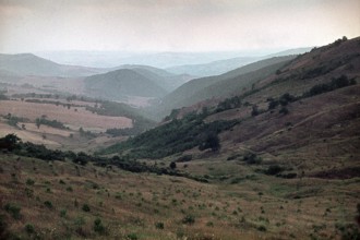 Nature, Italy, region of Puglia 1975 Valle del Celone (Celone Valley).