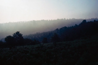 Nature, Italy, region of Puglia 1975 Foresta Umbra.