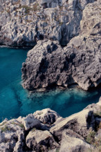 Nature, Italy, region of Puglia 1975 Costa del Salento (Salento coast).