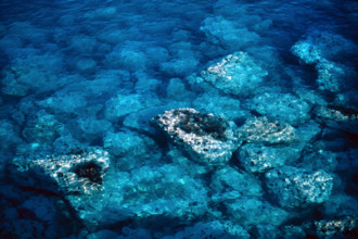 Nature, Italy, region of Puglia 1975 Costa del Salento (Salento coast).