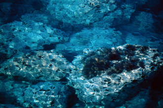 Nature, Italy, region of Puglia 1975 Costa del Salento (Salento coast).