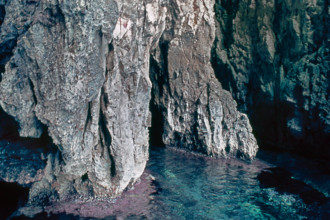 Nature, Italy, region of Puglia 1975 Costa del Salento (Salento coast).