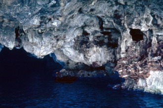 Nature, Italy, region of Puglia 1975 Costa del Salento (Salento coast).