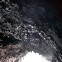 Nature, Italy, region of Puglia 1975 Costa del Salento-Grotta Zinzulusa (Salento coast- Zinzulusa