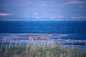 Nature, Italy, region of Puglia 1975 Lago di Lesina (Lesina lake).