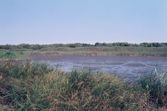 Nature, Italy, region of Puglia 1975 Lago di Salinella (Salinella lake).