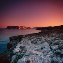 Nature, Italy, region of Puglia 1975 Isole Tremiti (Tremiti islands).