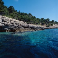 Nature, Italy, region of Puglia 1975 Isole Tremiti (Tremiti islands).