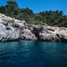 Nature, Italy, region of Puglia 1975 Isole Tremiti (Tremiti islands).