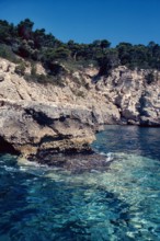 Nature, Italy, region of Puglia 1975 Isole Tremiti (Tremiti islands).