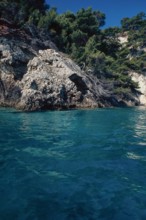 Nature, Italy, region of Puglia 1975 Isole Tremiti (Tremiti islands).