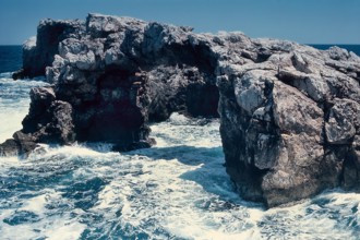 Nature, Italy, region of Puglia 1975 Isole Tremiti (Tremiti islands).