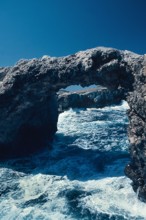 Nature, Italy, region of Puglia 1975 Isole Tremiti (Tremiti islands).