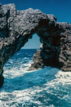 Nature, Italy, region of Puglia 1975 Isole Tremiti (Tremiti islands).
