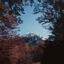 Nature, Italy, region of Calabria 1975 Comprensorio del Pollino - Monte Pollino (Pollino