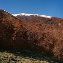 Nature, Italy, region of Calabria 1975 Comprensorio del Pollino - Monte Pollino (Pollino