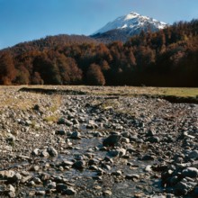 Nature, Italy, region of Calabria 1975 Comprensorio del Pollino - Monte Pollino (Pollino