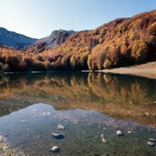 Nature, Italy, region of Calabria 1975 Comprensorio del Pollino - Monte Pollino (Pollino
