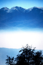 Nature, Italy, region of Calabria 1975 Comprensorio del Pollino - Monte Pollino (Pollino