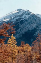 Nature, Italy, region of Calabria 1975 Comprensorio del Pollino - Monte Pollino (Pollino