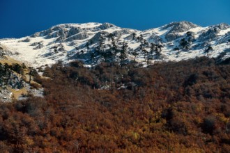 Nature, Italy, region of Calabria 1975 Comprensorio del Pollino - Monte Pollino (Pollino