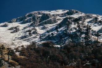 Nature, Italy, region of Calabria 1975 Comprensorio del Pollino - Monte Pollino (Pollino