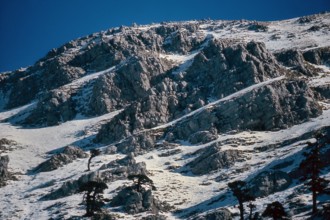 Nature, Italy, region of Calabria 1975 Comprensorio del Pollino - Monte Pollino (Pollino