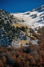 Nature, Italy, region of Calabria 1975 Comprensorio del Pollino - Monte Pollino (Pollino