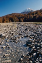Nature, Italy, region of Calabria 1975 Comprensorio del Pollino - Monte Pollino (Pollino
